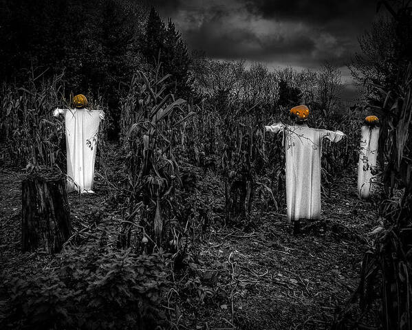 Halloween Poster featuring the photograph Halloween is coming by Nigel R Bell