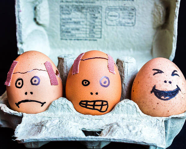 Eggs Poster featuring the photograph Headache Eggs. by Gary Gillette