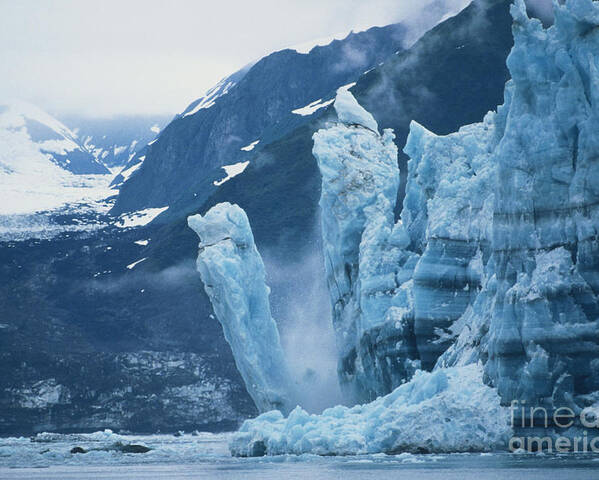 Glacier Poster featuring the photograph Hubbard Glacier, Calving by Mark Newman