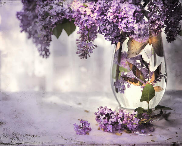 Lilacs Poster featuring the photograph I Picked A Bouquet Of Lilacs Today by Theresa Tahara