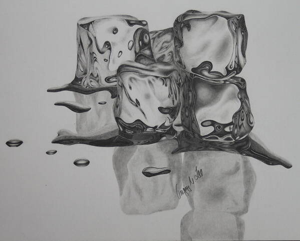 Ice Poster featuring the drawing Ice Cubes by Gregory Lee