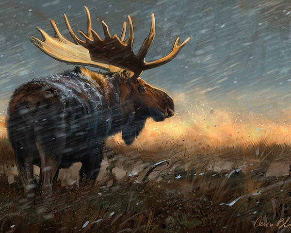 Moose Poster featuring the digital art Incoming Storm by Aaron Blaise