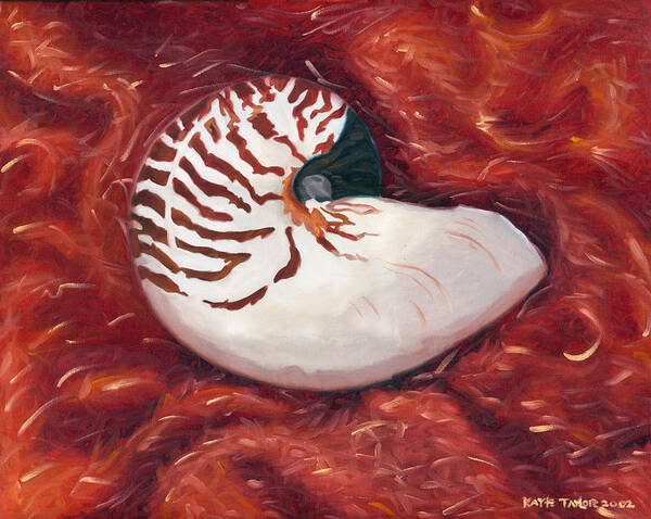 Nautilus Poster featuring the painting Introvert by Katherine Miller