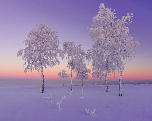 Winter Poster featuring the photograph January Evening by Ruslan Makhmud-akhunov