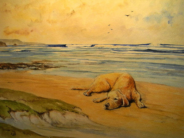 Beach Poster featuring the painting Labrador retriever in the beach by Juan Bosco