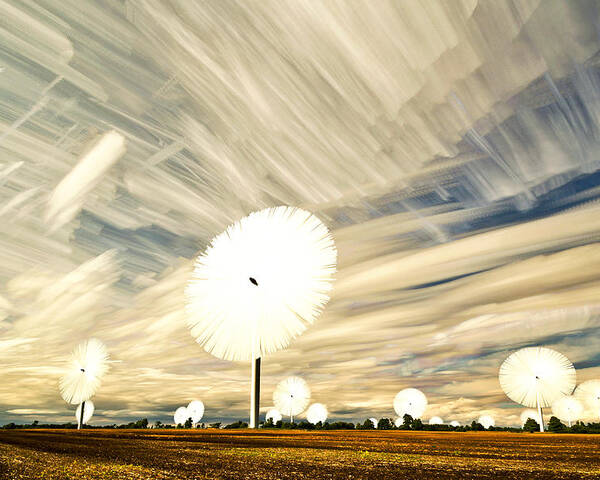 Landscape Poster featuring the photograph Land of the Giant Lollypops by Matt Molloy