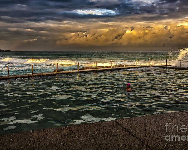 Avalon Beach Poster featuring the photograph Late afternoon swimmer by Sheila Smart Fine Art Photography