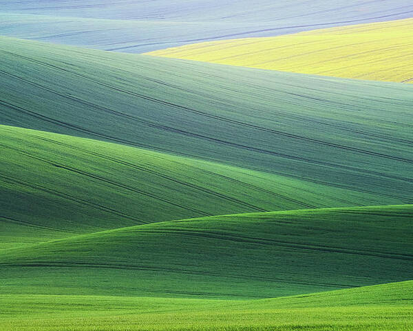 Fields Poster featuring the photograph Lines by Ales Komovec