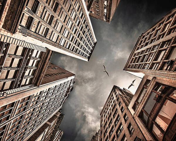 Buildings Poster featuring the photograph Locked In Civilization by Carmit Rozenzvig