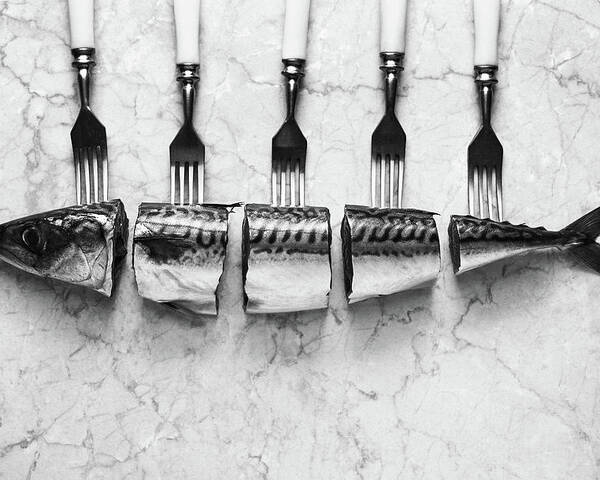 Food Poster featuring the photograph Mackerel&forks by Aleksandrova Karina