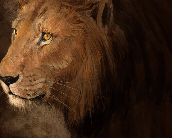 Lion Poster featuring the digital art Male Lion by Aaron Blaise