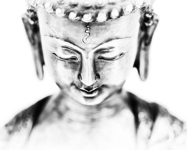 Medicine Poster featuring the photograph Medicine Buddha Monochrome by Tim Gainey
