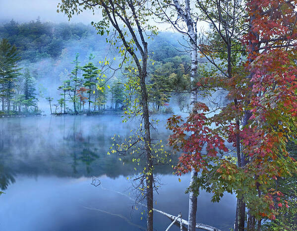 Tim Fitzharris Poster featuring the photograph Mist Over Lake Emerald Lake State Park by Tim Fitzharris