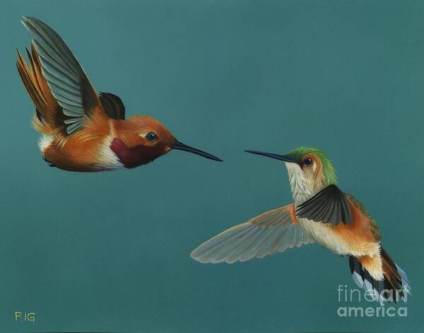 Hummingbird Poster featuring the painting Monty and Tiffany by Rosellen Westerhoff
