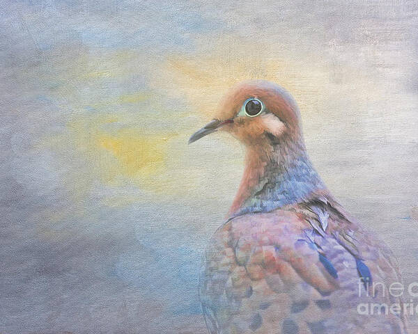 Mourning Dove Poster featuring the digital art Mourning Dove Art by Jayne Carney