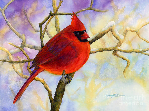 Cardinal Poster featuring the painting Northern Cardinal by Hailey E Herrera