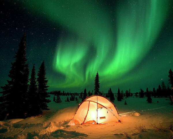 00600969 Poster featuring the photograph Northern Lights Over Tent by Matthias Breiter