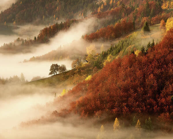 Slovenia Poster featuring the photograph November's Fog by 