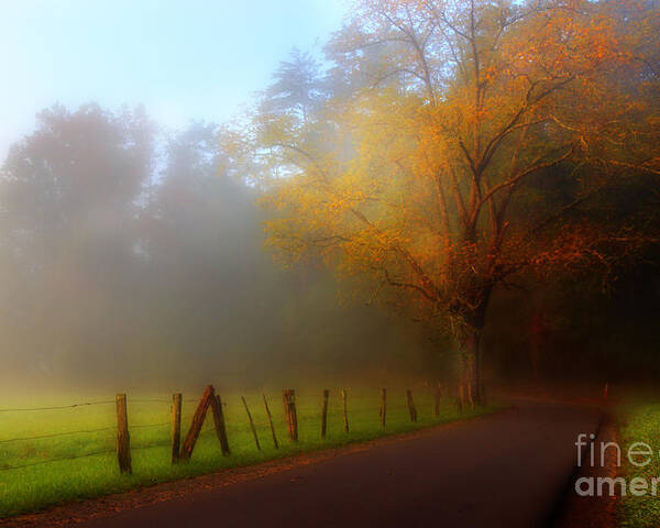 Cades Cove Poster featuring the photograph October And Fog by Michael Eingle