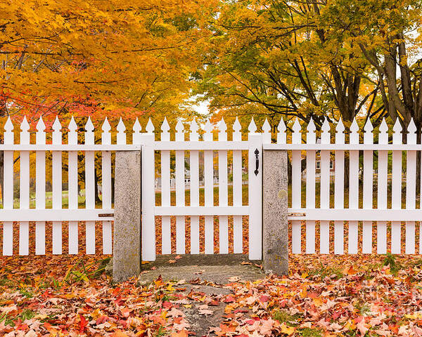 Image result for new england picket fences free image