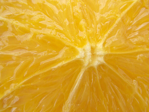 Orange Poster featuring the photograph Orange Closeup by Matthias Hauser