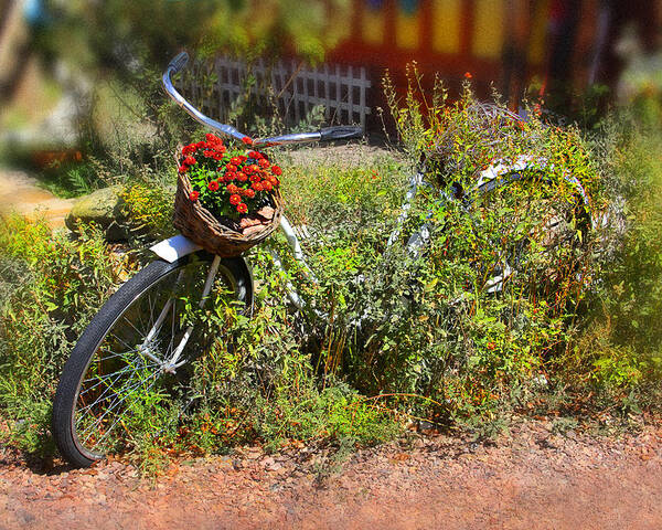 Bike Poster featuring the photograph Overgrown Bicycle with Flowers by Mike McGlothlen