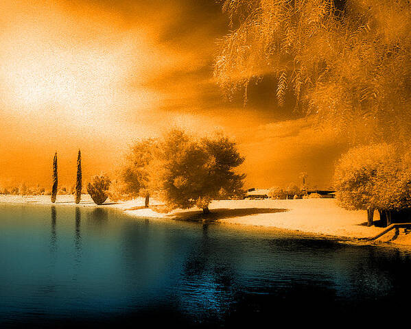 Lake Poster featuring the photograph Park in Infrared by Jim Painter