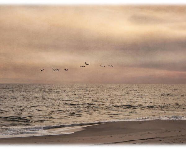 Ocean Poster featuring the photograph Pastel Skies by Cathy Kovarik
