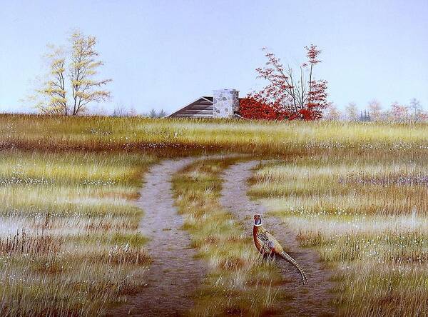 Nature Poster featuring the painting Pheasant Country. by Conrad Mieschke