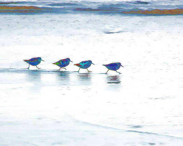 Beach Poster featuring the photograph Plovers in a Row by Allan Van Gasbeck