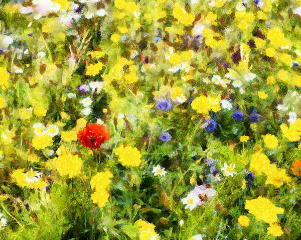 Poppy Poster featuring the photograph Poppy in wildflowers by Nigel R Bell