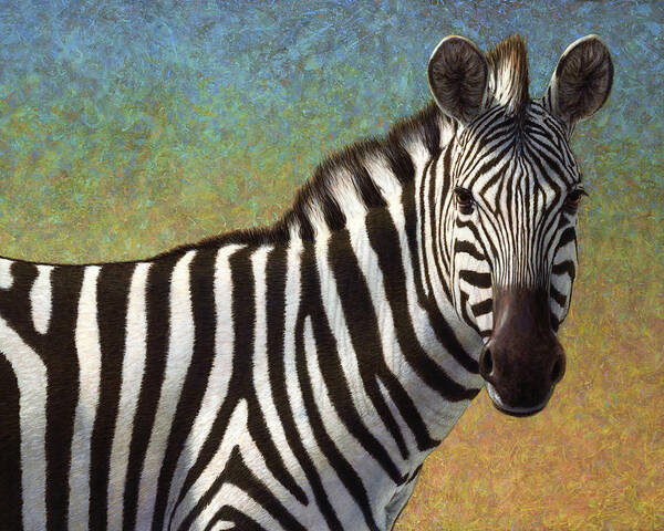 Zebra Poster featuring the painting Portrait of a Zebra by James W Johnson