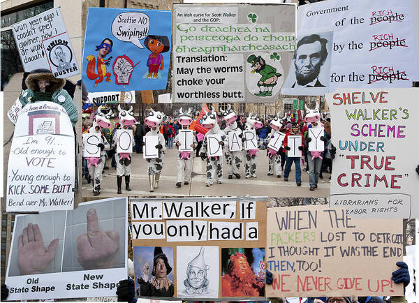 Capitol Poster featuring the photograph Protest signs by Steven Ralser