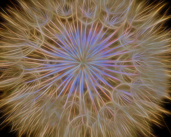 Dandelion Poster featuring the photograph Psychedelic Dandelion Art by James BO Insogna