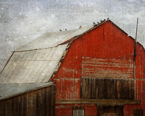 Barn Poster featuring the photograph Red Barn And First Snow by Theresa Tahara