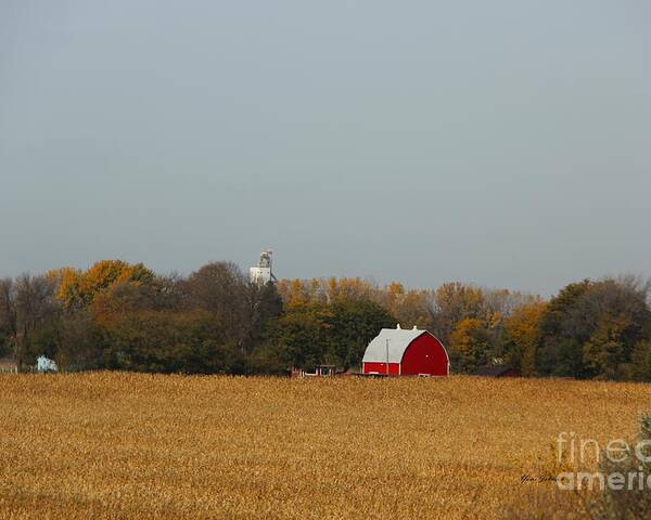 Barns Poster featuring the photograph Red Barn in Fall by Yumi Johnson