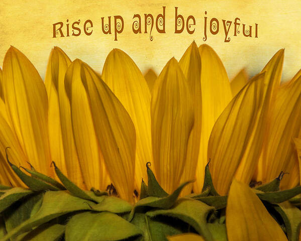 Joyful Poster featuring the photograph Rise Up by Cathy Kovarik