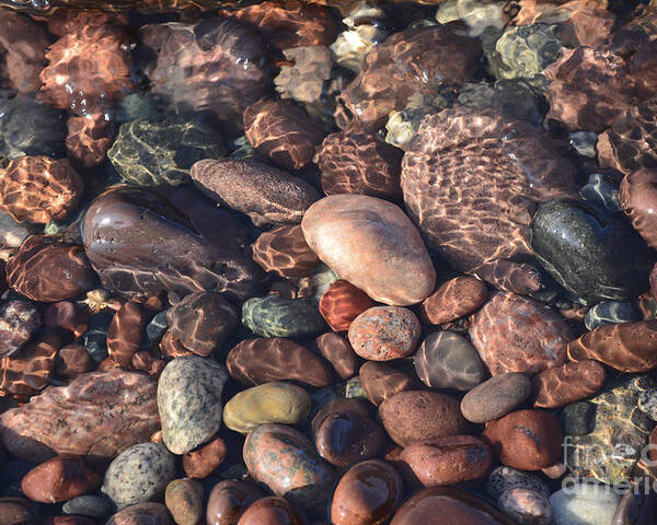 Rocks Poster featuring the photograph Rocks on the Beach by Forest Floor Photography
