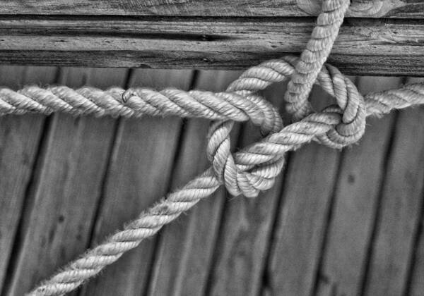 Rope Poster featuring the photograph Rope by M Kathleen Warren
