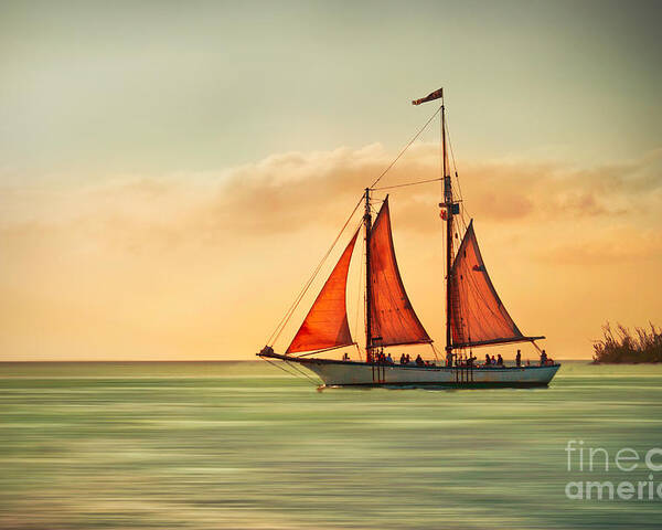 Sailing Poster featuring the photograph Sailing Into The Sun by Hannes Cmarits