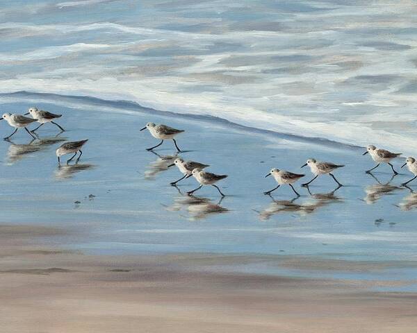  Sandpipers Poster featuring the painting Sandpipers by Tina Obrien