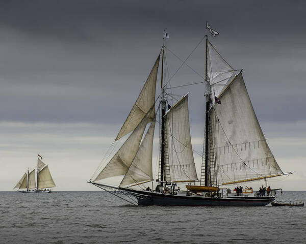 Schooner Poster featuring the photograph Schooner by Fred LeBlanc
