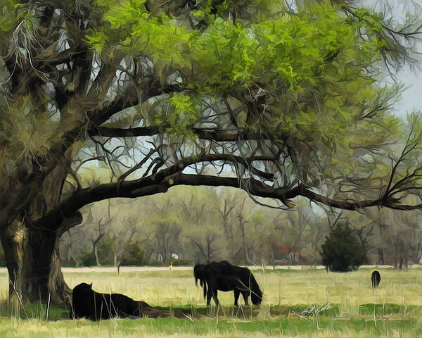 Cattle Poster featuring the photograph Shady Rest by Bill Kesler