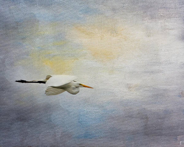 Ardea Alba Poster featuring the photograph Silent Flight by Jai Johnson