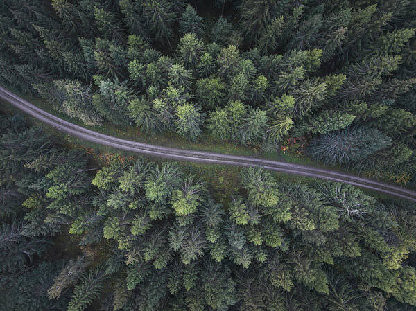 Aerial Poster featuring the photograph Small Road Through The Forest by Christian Lindsten