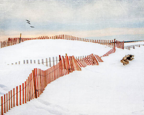 Beach Poster featuring the photograph Snowy Beach by Cathy Kovarik