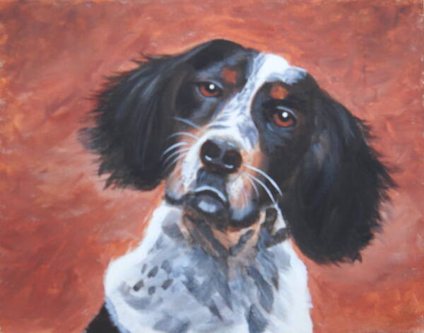 Pets Poster featuring the painting Spaniel by Kathie Camara