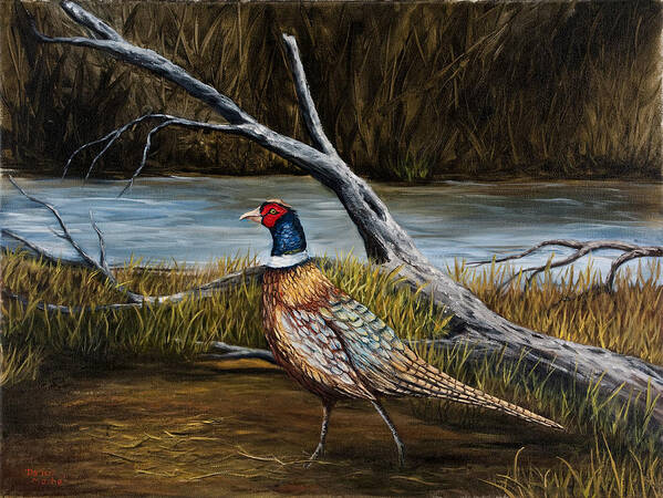 Bird Poster featuring the painting Strutting Pheasant by Darice Machel McGuire