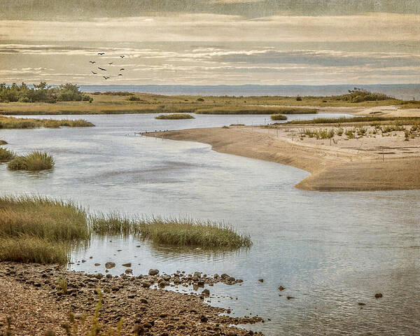Inlet Poster featuring the photograph Sunken Meadow by Cathy Kovarik