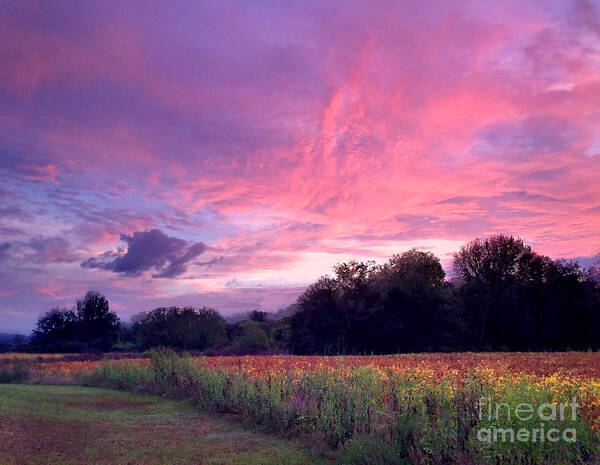 South Poster featuring the photograph Sunrise in the South by T Lowry Wilson